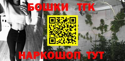2c-b Кингисепп