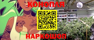 2c-b Кингисепп