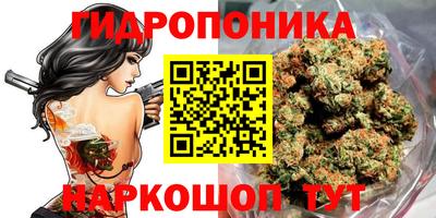 a pvp Кимры